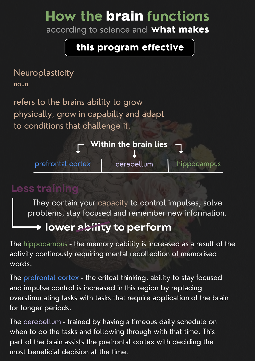 Week 1 - Concentration (Induction To The Program)