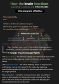 Week 1 - Concentration (Induction To The Program)
